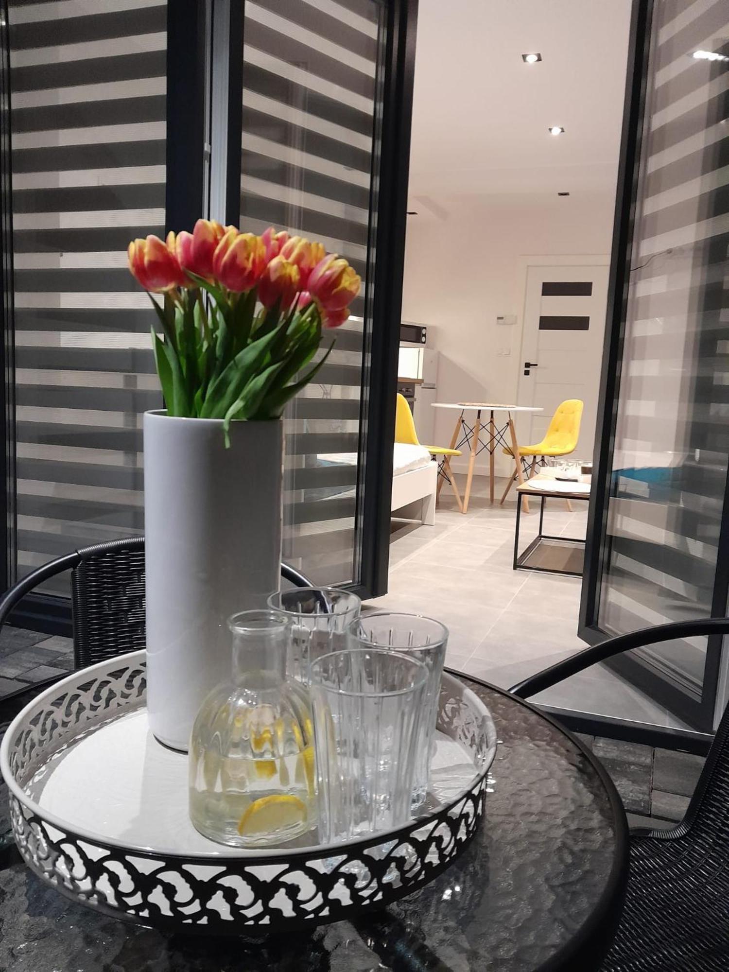Viva Apartments Oswiecim Luaran gambar