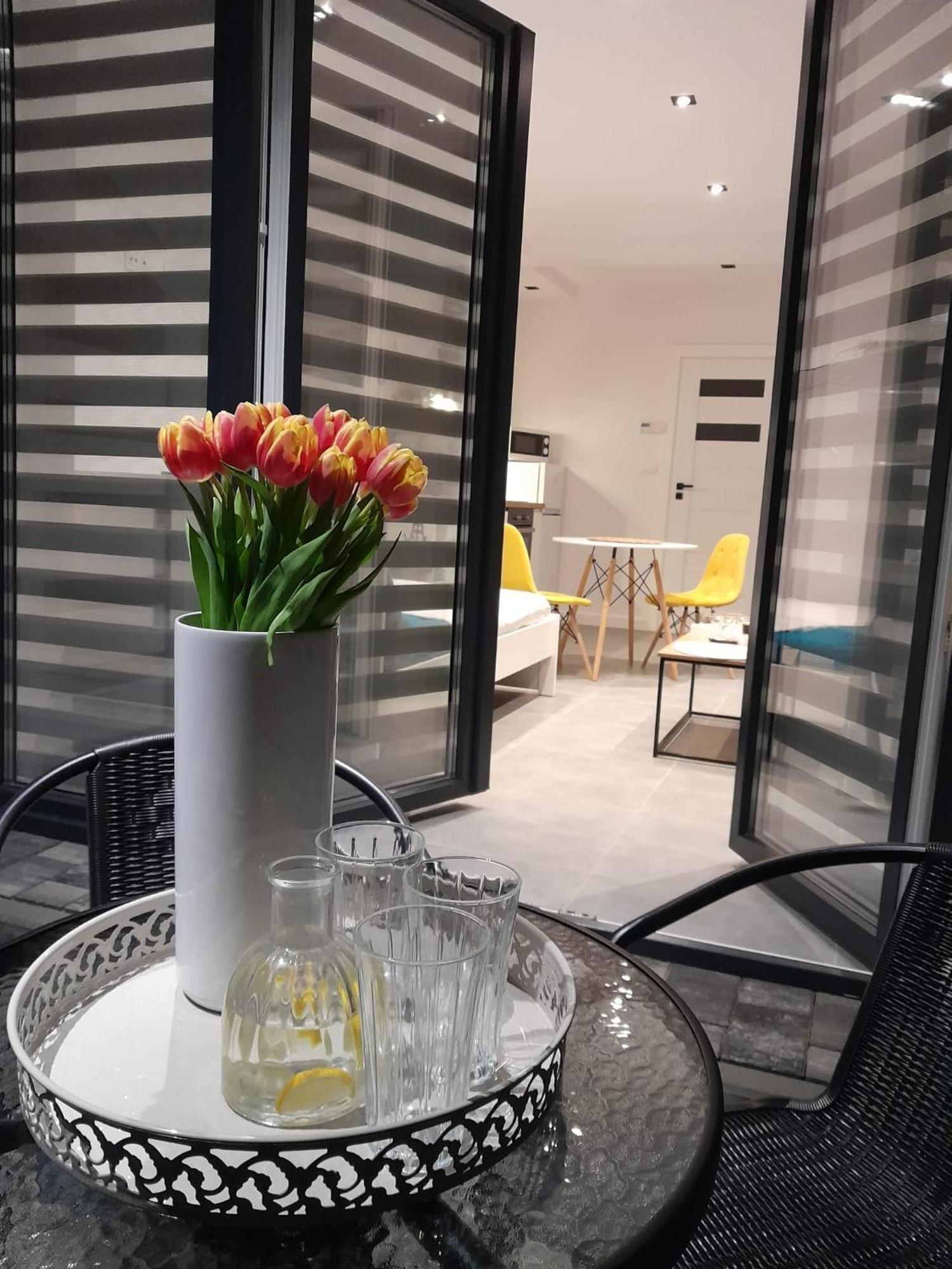 Viva Apartments Oswiecim Luaran gambar